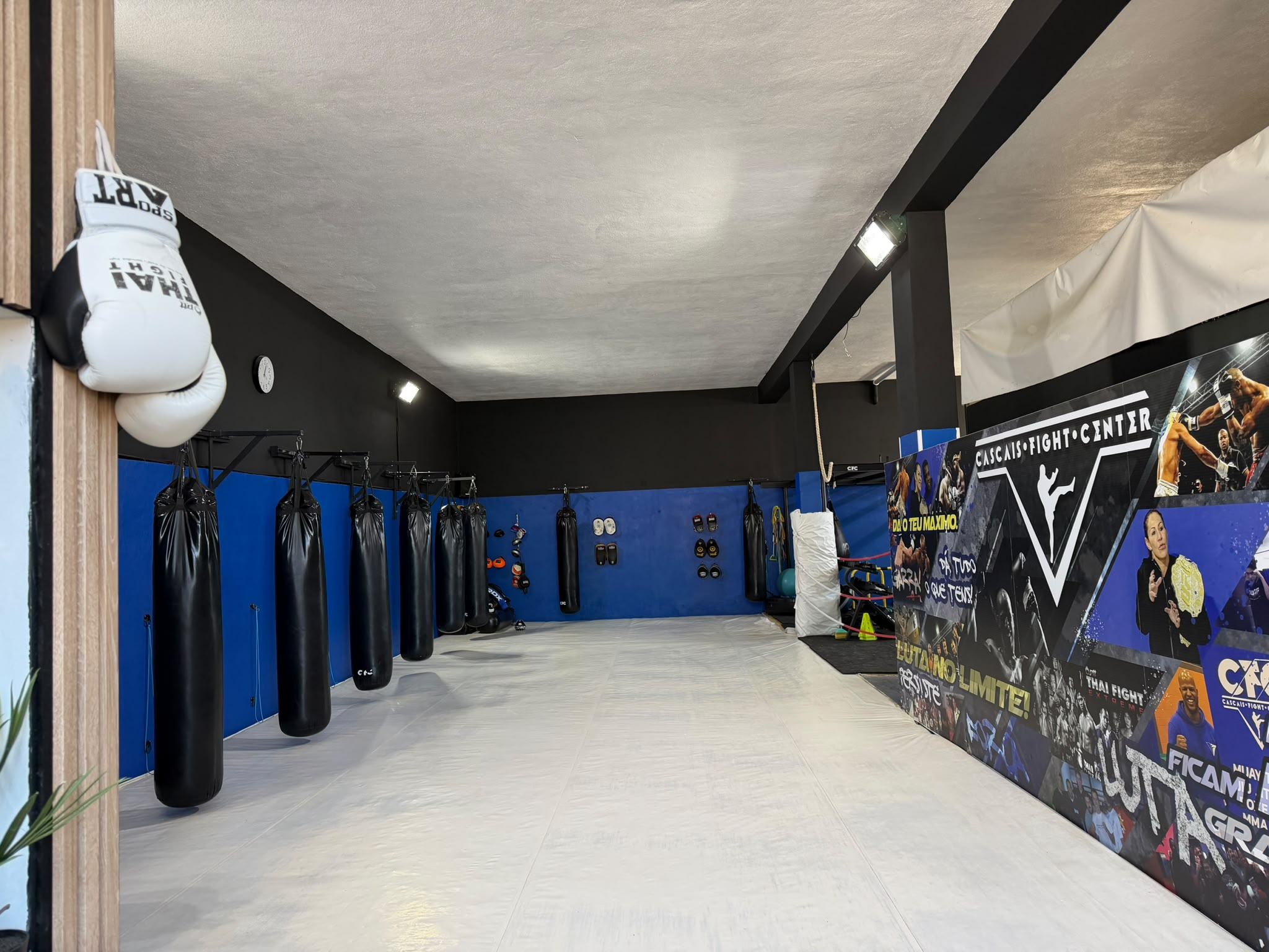 Interior do ginásio Cascais Fight Center, Alcabideche — sacos de pancada e zona de treino